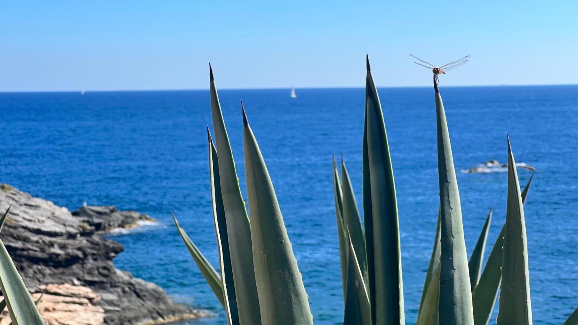 Turquesa Del Mar - Sun & Beach & Golf & Bike - Large Terrace Ground-Floor Spanish Apartment Dehesa de Campoamor  Εξωτερικό φωτογραφία